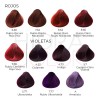 Tinte Para Cabello Hidracolor Naturales 90 Ml + Peróxido Tono