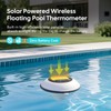 Inkbird IBS-P05R Ambient Light Pool Thermometer with Wireless Monitor