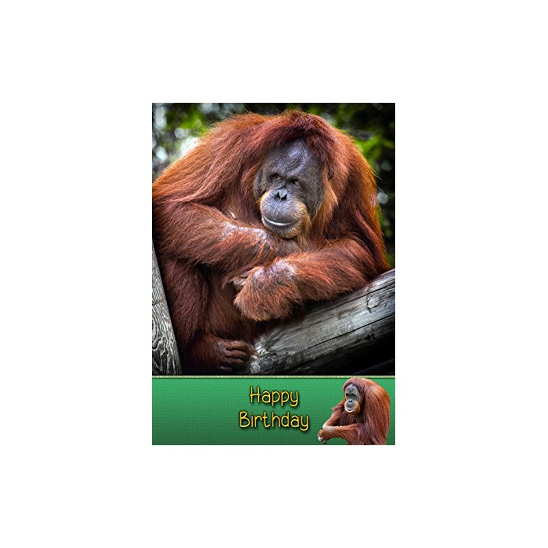 Orangutan Birthday Card