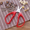 Nutcracker Nut Pistachio Sunflower Peeler Scissor Plier Stainless Steel Walnut