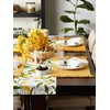 DII Variegated Tabletop Collection, Placemat Set, 13x19, Apricot, 6 Piece