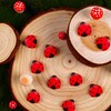 Edible Ladybug Cupcake Toppers 32pcs, Ladybug Icing Decorations for Cakes,