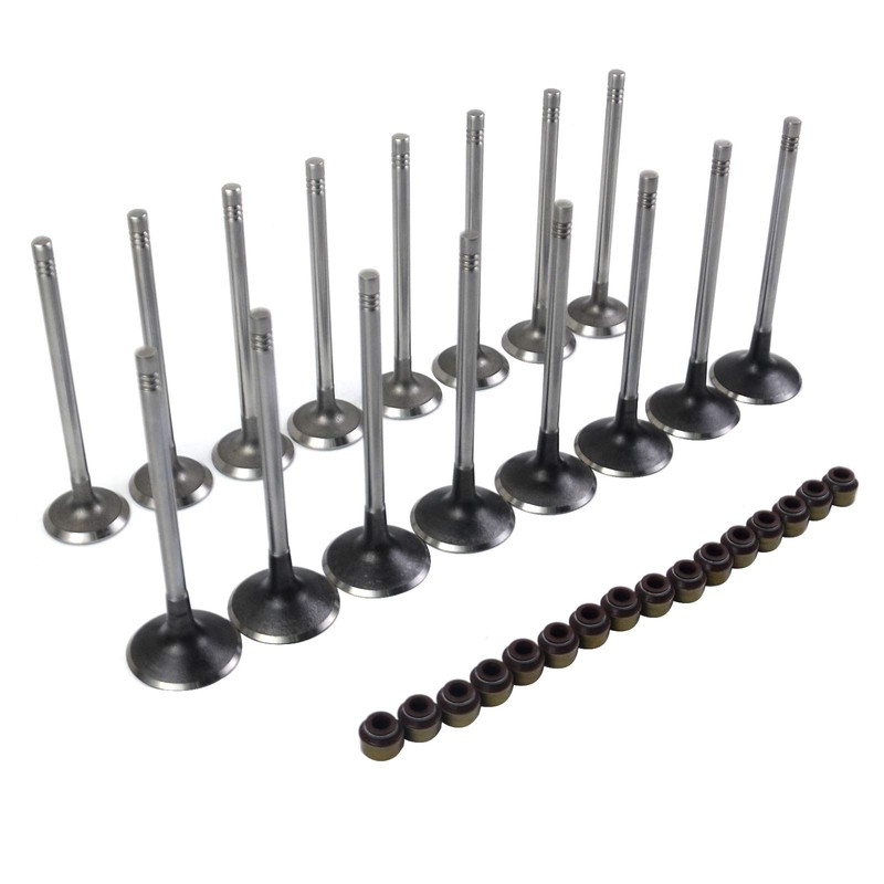 Huiruhy 8x Inlet Valve & 8x Outlet Valve Compatible with