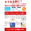 Japanese Instruction Manual Included - DIY Windshield Repair Kit Repair