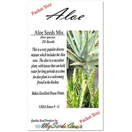 20 x Aloe Seeds Mix - Excellent House Plants Succulent for Greenhouse, Indoor Home - Includes Aloe Vera - by MySeeds.Co