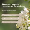 Medicom Quercetin with Sophora Japonica Extract, 60 Capsules