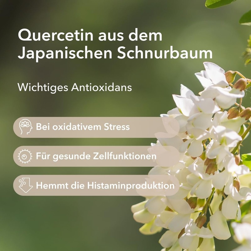 Medicom Quercetin with Sophora Japonica Extract, 60 Capsules