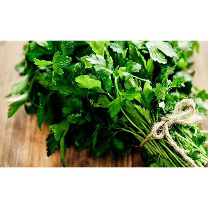 Seeds Flat-Leaf Parsley Italian Indoor Heirloom Vegetable for Planting Non