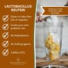 Lactobacillus Reuteri 15g | 5 Billion CFU Probiotic + Chicory