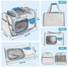 Soft Side Pet Carrier For Small Animals, Cats And Small