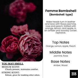 2 Pack Pick 80+Scents Car Air Freshener Hanging Car Diffuser Made in USA Last for 120 Days:_C14- Cocoa Cashmere(Cocoa Butter Cashmere Type )