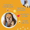 7th Heaven Tiger Sheet Face Mask Apple and Kiwi Revitalising