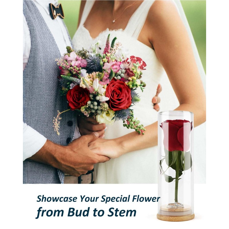 wisedry Decorative Glass Jar Display Case with Bamboo Base for