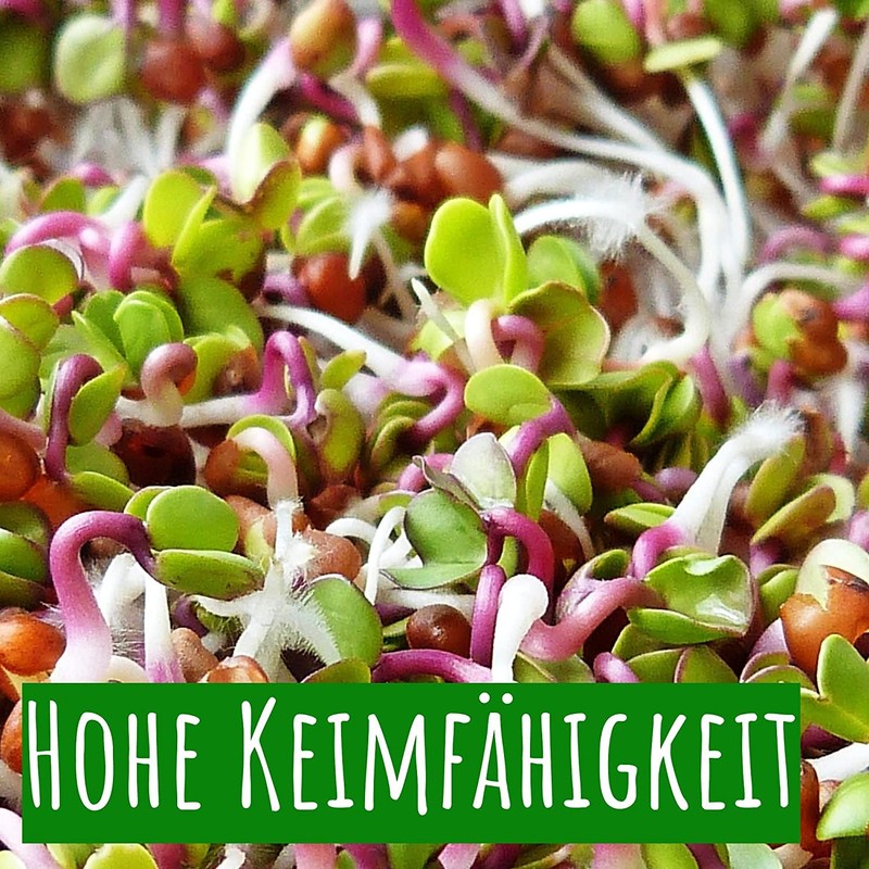 Wohltuer Organic Cress Seeds 200g