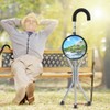 Iron Portable Folding Walking Stick Seat Tripod Travel Chair Stool