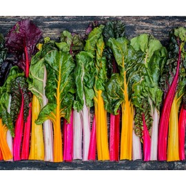 Rainbow Swiss Chard Seeds for Planting Heirloom Non GMO Packets 50 Seeds – Plant & Grow Swiss Chard Home Outdoor Garden, Great Gardening Gift - 2 Packets