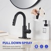 Kablle Bathroom Sink Faucet with Pull Down Sprayer, Matte Black