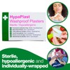 Safety First Aid Group HypaPlast Clear Washproof Assorted (Pack of