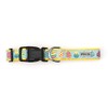 The Worthy Dog Easter Eggs Stylish & Durable Dog Collars