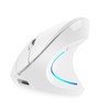 2.4G BT Dual-mode Wireless Vertical Mouse Rechargeable Mouse RGB streamer