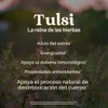 Orgánica India Tulsi – Té, Hojas Sueltas, Sweet Rose, 3.5