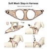 Mercano Soft Mesh Dog Harness and Leash Set, No-Chock Step-in