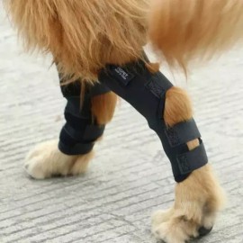 Long 롱 2개입 강아지 다리보호대 [블랙 XL] Long 2-Pack Dog Leg Protectors [Black XL]