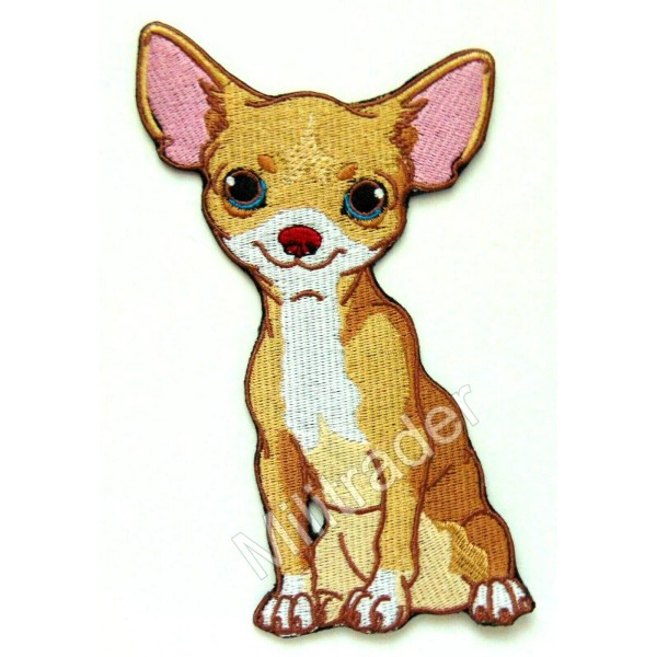 Unbranded Chihuahua Pretty Puppy Dog Sweet Fawn Pink Nose Patch