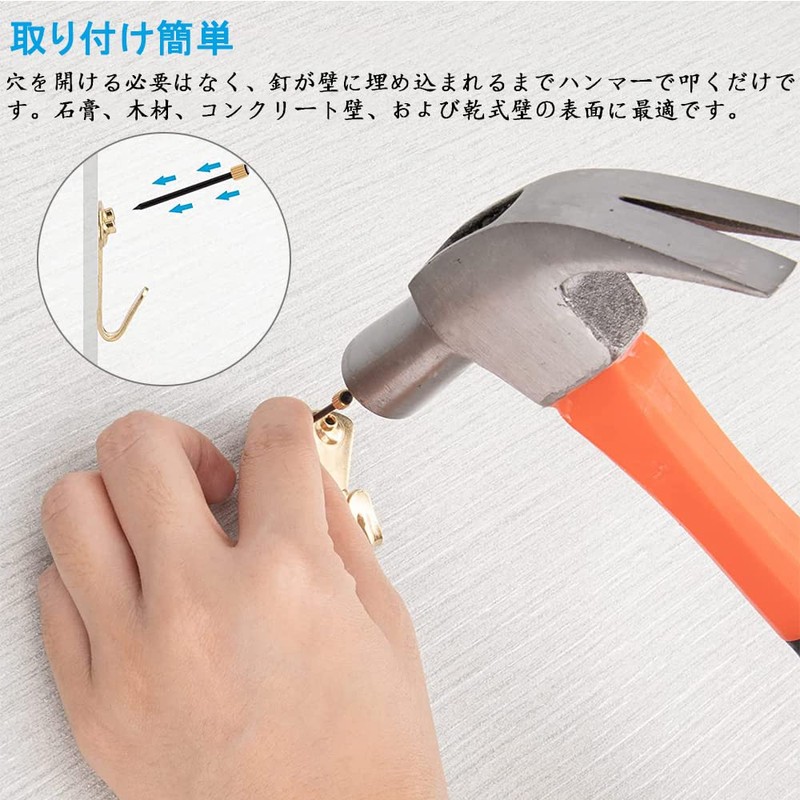 DFsucces Wall Hanging Hooks with Nails, Safe Load 66.1 lbs