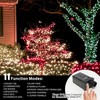 LAMPHOME 66ft St Patrick's Day Decorations String Lights,200 LED Green