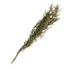 Tiardey Static Grass Tuft, Green Model Grass Tufts Railway Artificial