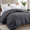 TEXARTIST Premium 2100 Series California King Comforter All Season Breathable