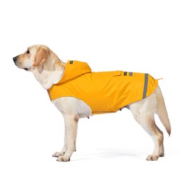 PACIOCEAN Dog Raincoat for Large Dogs, Reflective Dog Rain Jacket with Hoodie, Adjustable Water Proof Pet Clothes,Waterproof Rainwear for Dog (Yellow, XL)