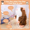 Sunshine smile Hamster Toy, Talking Hamster Repeated, Talking Hamster Repeated