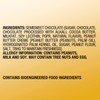 DOVE Large PROMISES Dark Chocolate Peanut Butter Candy, 2.75oz (Pack