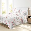 Bloom Studio Full Size Sheets 4 Piece Floral Printed Brushed