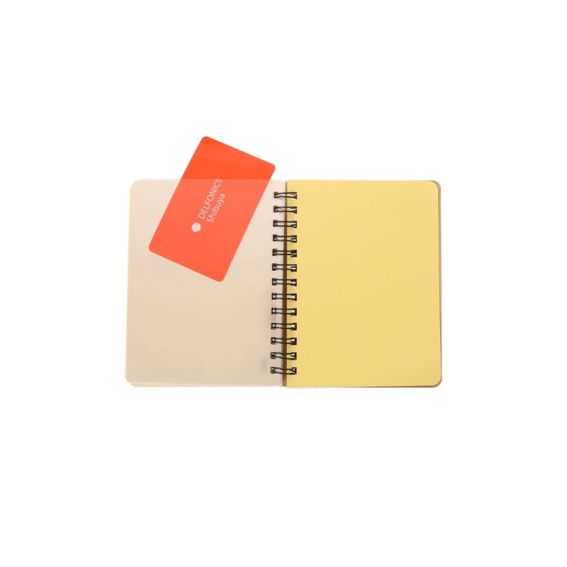 Delphonics Rollbahn Pocket Memo (Greige)