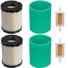 798897 794935 Air Filter 2 Pack for