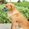 Acecharming Drinkable Dog Muzzle Soft Breathable Mesh Adjustable Loop for