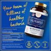 Lactobacillus Salivarius Probiotic Capsules - L Salivarius Probiotic Oral Dental