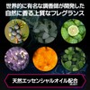 AXE Premium Fragrance Purple Citrus for Men Body Soap Refill,