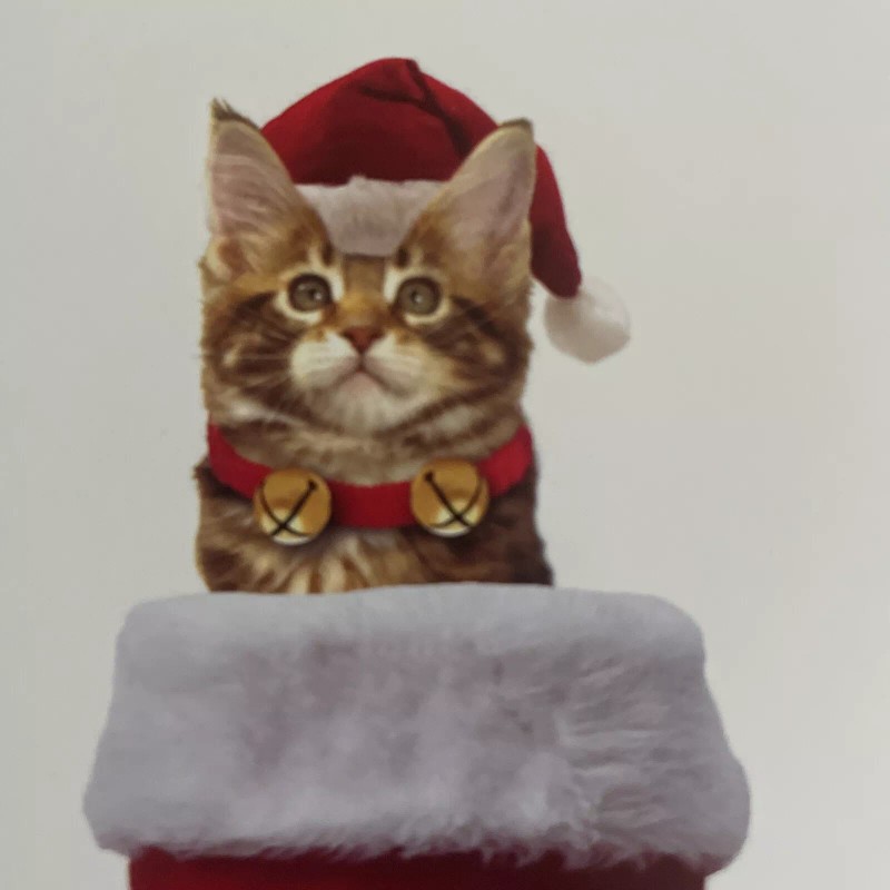 set of 4 Yellow Tabby Cat Kitten In Stocking Christmas