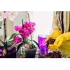 Better-Gro Phalaenopsis Mix - Premium Grade Phalaenopsis Potting Mix for
