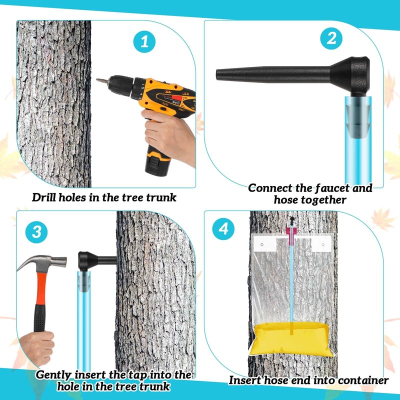 Reallnaive 12 Set Maple Syrup Tapping Kit Maple Tree Sap