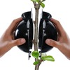 10Pcs Plant Rooting Device High Pressure Propagation Ball Root Grow