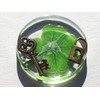 Real Four Leaf Clover Good Luck Pocket Token, Preserved, 1.25”