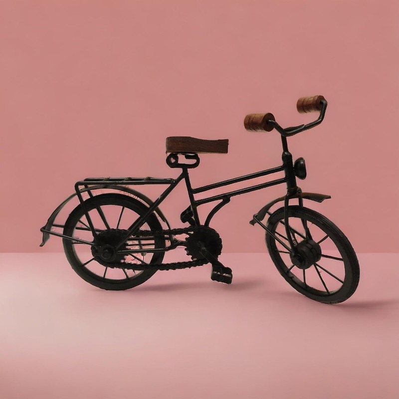 FTWDesign Decorative Item Men's Bicycle Decorative Metal in Black