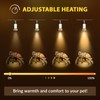 25W UVA + UVB Reptile Light Bulb, Dimmable Heat Lamp