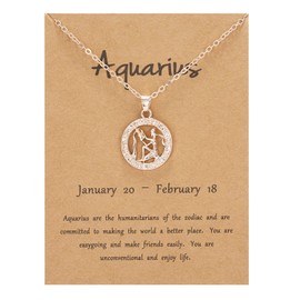 Rose Gold Star Sign Motif Pendant Chain Necklace - Aquarius (20th January - 18th February) - Zodiac Constellation Horoscope Celestial Astrology Jewellery - Women Men Gift
