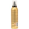 RICH Hair Care Pure Luxury Argan Volumizing Mousse, 6.76 FL